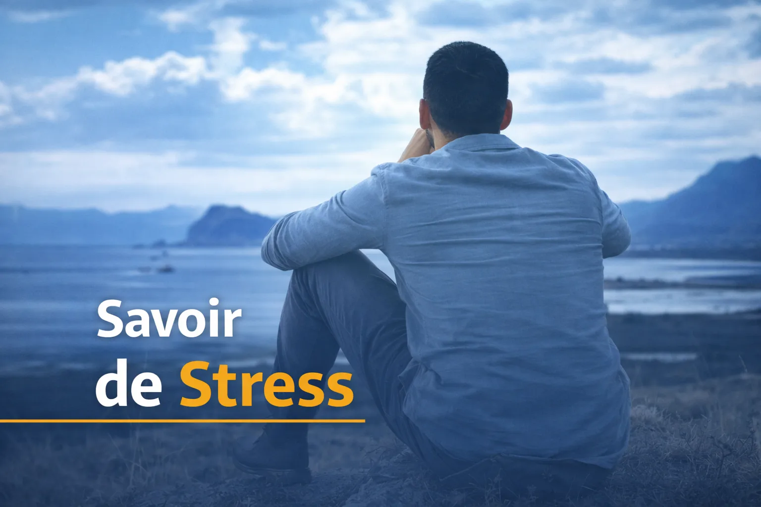 Gestion du Stress et Performance Professionnelle